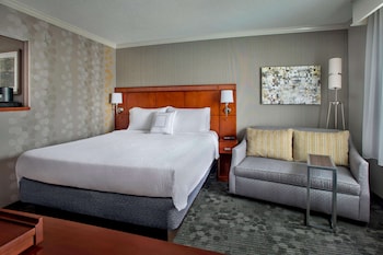 Room, 1 King Bed with Sofa bed, Accessible (Hearing)