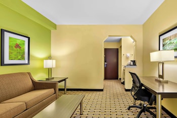 Suite, 1 King Bed, Non Smoking, Refrigerator & Microwave (with Sofabed)