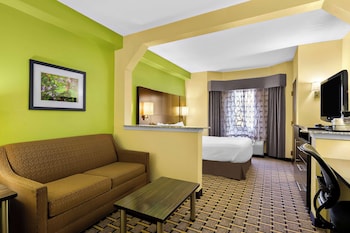 Suite, 1 Queen Bed, Accessible, Bathtub (with Sofabed)