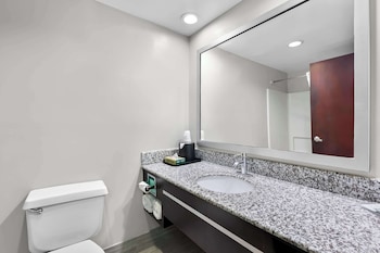 Suite, 1 King Bed, Non Smoking, Refrigerator & Microwave (with Sofabed)