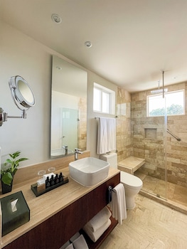Villa Junior Suite Plunge Pool