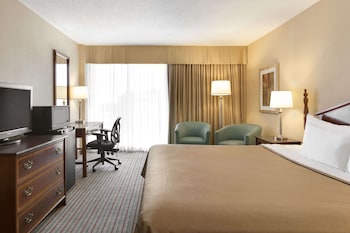 Suite, 1 Bedroom, Non Smoking