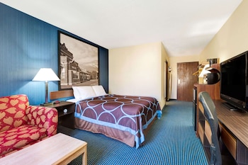 Room, 1 King Bed, Non Smoking