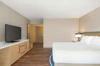 Room, 1 King Bed, Accessible, Balcony (Roll-In Shower)