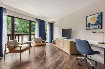 Junior Room, Multiple Beds