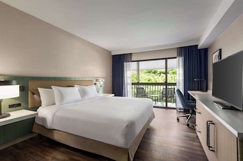 Room, 1 King Bed, Accessible, Bathtub