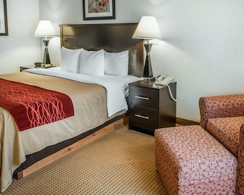 Standard Room, 1 King Bed, Non Smoking