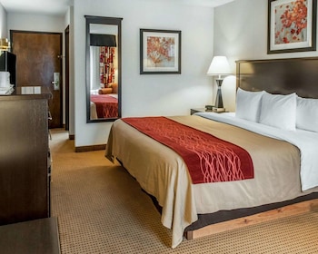 Standard Room, 1 King Bed, Non Smoking