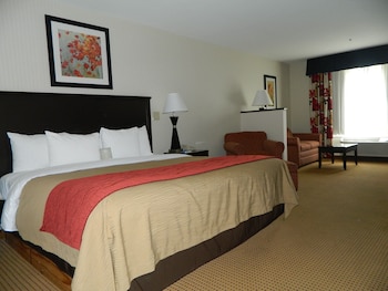 Suite, 1 King Bed, Non Smoking