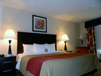 Standard Room, 1 King Bed, Non Smoking