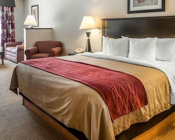 Suite, 1 King Bed, Non Smoking