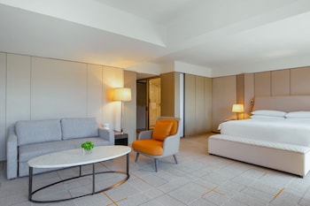 Suite, 1 King Bed with Sofa bed