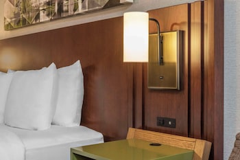 Suite, 1 King Bed with Sofa bed, Non Smoking