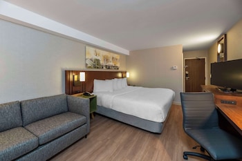 Room, 1 King Bed with Sofa bed, Non Smoking