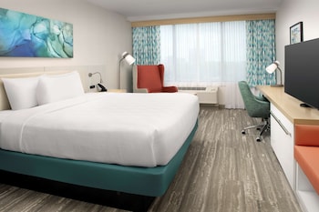 Room, 1 King Bed