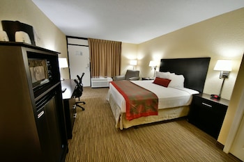 Room, 1 King Bed, Non Smoking
