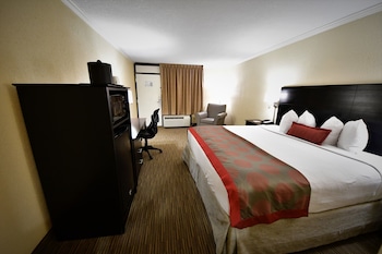 Room, 1 King Bed, Non Smoking