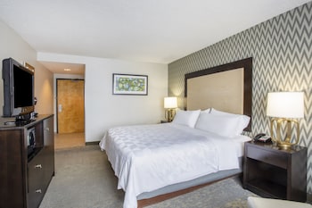 Standard Room, 1 King Bed