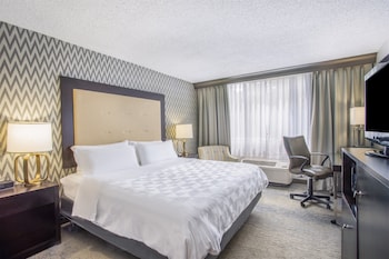 Suite, 1 Bedroom