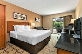 Standard Room, 1 Queen Bed with Sofa bed, Ground Floor