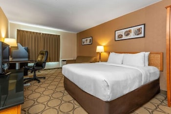 Standard Room, 1 Queen Bed with Sofa bed, Ground Floor