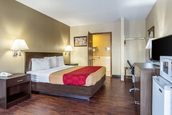 Room, 1 King Bed, Accessible, Non Smoking