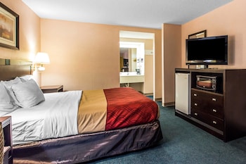 Standard Room, 1 King Bed, Non Smoking