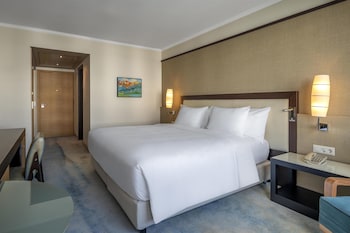 Room, 1 King Bed