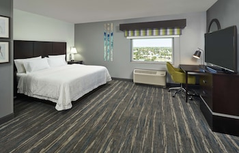 Room, 1 King Bed, Accessible, Bathtub (Mobility & Hearing)