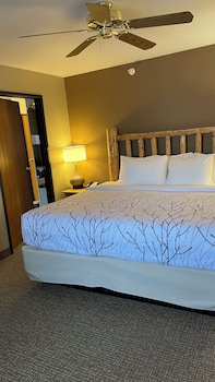 Deluxe Room, 1 King Bed, Refrigerator & Microwave, Mountain View