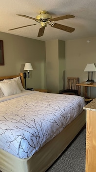 Single Room, 1 King Bed, Refrigerator