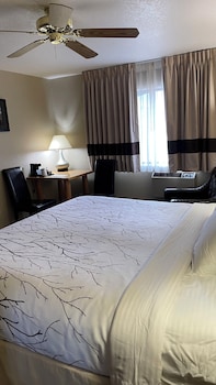 Room, 1 King Bed, Accessible, Refrigerator