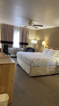 Room, 1 King Bed, Accessible, Refrigerator