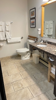 Room, 1 King Bed, Accessible, Refrigerator