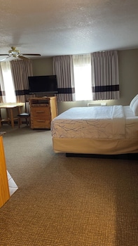 Studio Suite, 1 King Bed, Refrigerator & Microwave, Mountain View