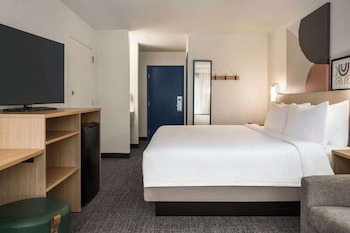 Room, 1 King Bed with Sofa bed