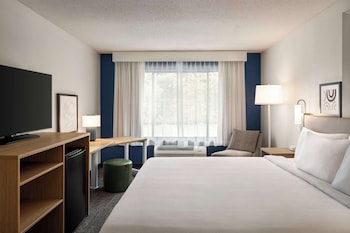 Room, 1 King Bed, Non Smoking