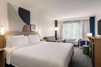 Room, 1 King Bed with Sofa bed