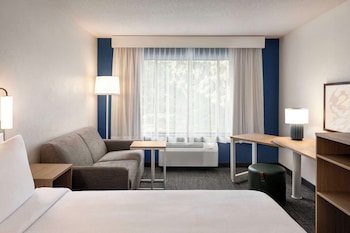 Room, 1 King Bed with Sofa bed