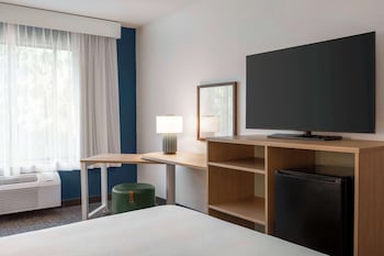 Room, 1 King Bed with Sofa bed
