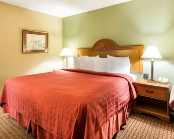 Standard Room, 1 King Bed, Non Smoking