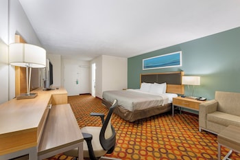 Room, 1 King Bed