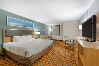 Room, 1 King Bed