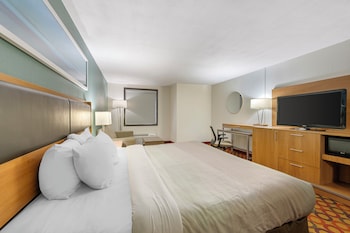 Room, 1 King Bed