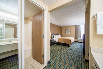 Room, 1 King Bed, Accessible, Non Smoking