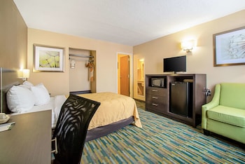 Room, 1 King Bed, Accessible, Non Smoking