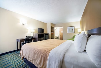 Standard Room, 1 King Bed, Non Smoking