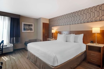 Standard Room, 1 King Bed, Non Smoking, Refrigerator & Microwave (with Sofabed)