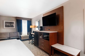 Standard Room, 1 King Bed, Accessible, Refrigerator & Microwave (Walk-in Shower)
