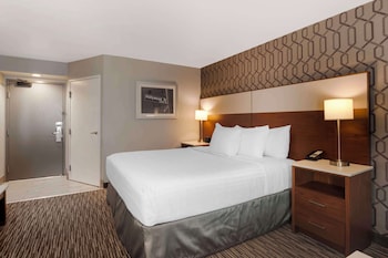 Standard Room, 1 King Bed, Accessible, Refrigerator & Microwave (Walk-in Shower)